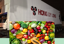 Nhiệt Độ Thích Hợp Bảo Quản Hàng Nông Sản Trong Container Lạnh