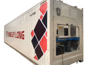 Container lạnh 20 feet